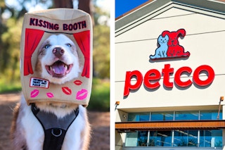 a dog wearing a kissing booth costume and petco store front