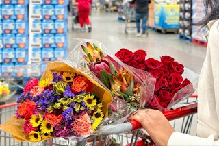 someone pushing a cart of flowers at costco