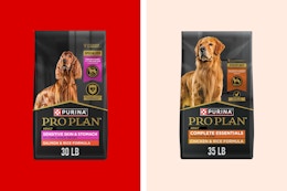 Purina Pro Plan Dog Food, as Low as $42 on Amazon (Reg. $77+) card image