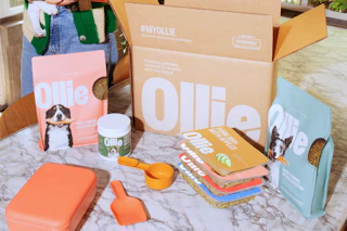 70% off ollie