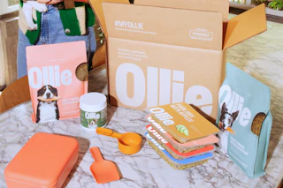 70% off ollie