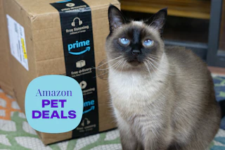 amazon-pet-deals-10