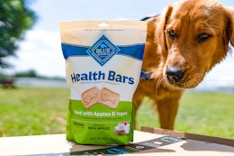 Blue Buffalo Mini Health Bars Bags, as Low as $2.49 on Amazon card image