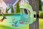 smart bird feeder with camera