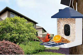 Bird Feeder B0DGGCV9Z9