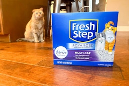 Fresh Step Cat Litter: Prices Start at $6.66 During Amazon Pet Day card image