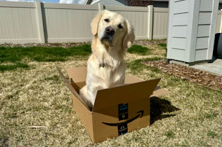 amazon-pet-deals-2