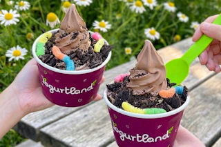 yogurtland dirt cups